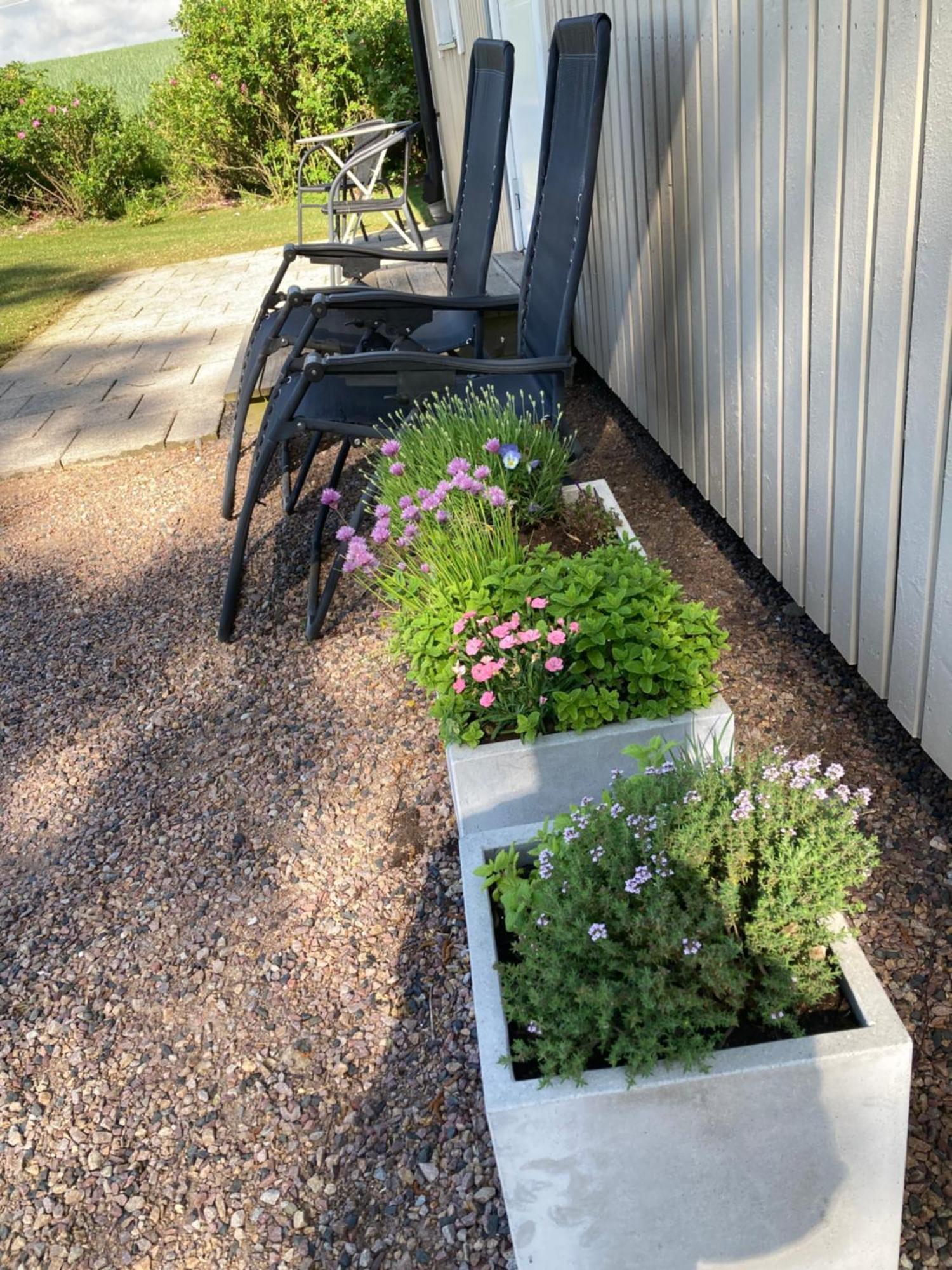 Willa Slimmingegarden 1019 Skurup Zewnętrze zdjęcie